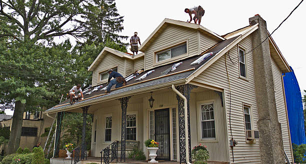 Best Metal Roofing Contractor  in Shady Hollow, TX