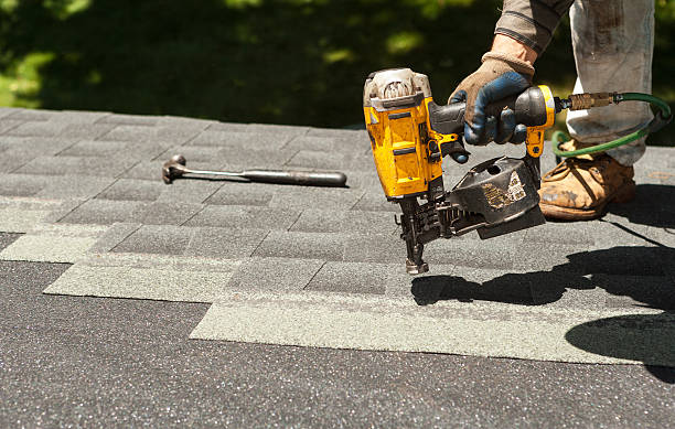Best Local Roofing Companies  in Shady Hollow, TX